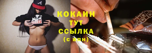 таблы Бородино