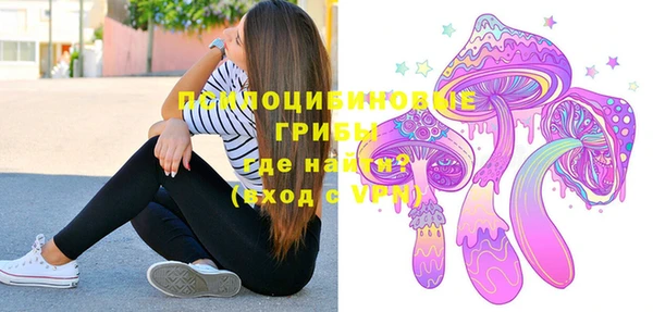 молекула духа Богородицк