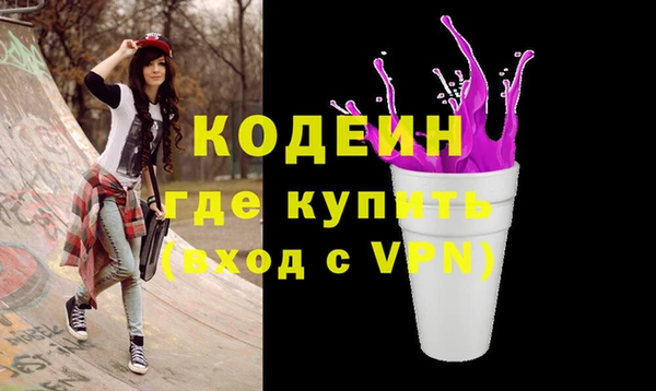 молекула духа Богородицк